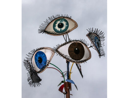 Zwischen Amateuren und ProfisDie Bilderflut des 21. Jahrhunderts